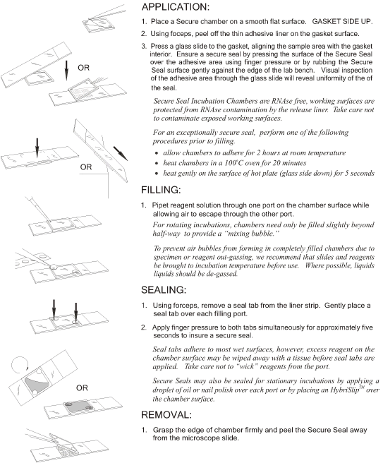 Process for using SecureSeal Hybridization Chambers