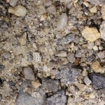 Small bone fragment in dirt, white light