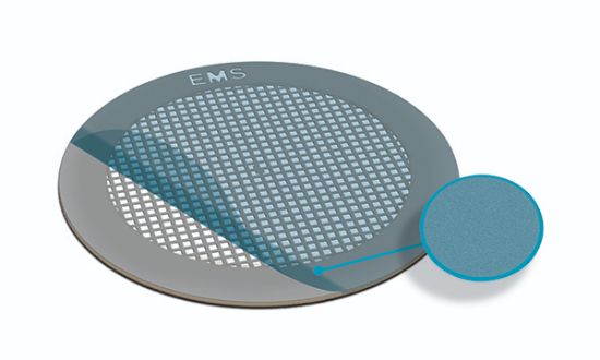 Picture of Formvar Square Mesh, Ni, 300 Mesh, ET