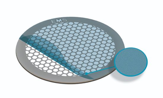 Picture of Formvar Hexagonal Mesh, Ni, 100 Mesh, ET