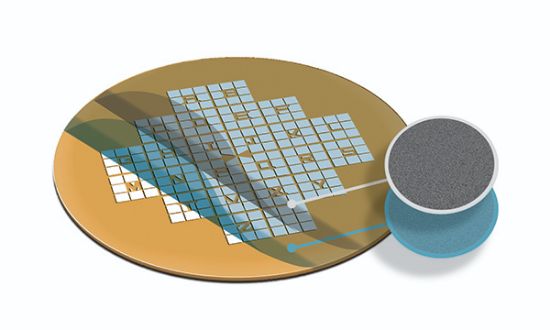 Picture of Formvar/Carbon Gilder Finder Grids, Cu, F2, SB