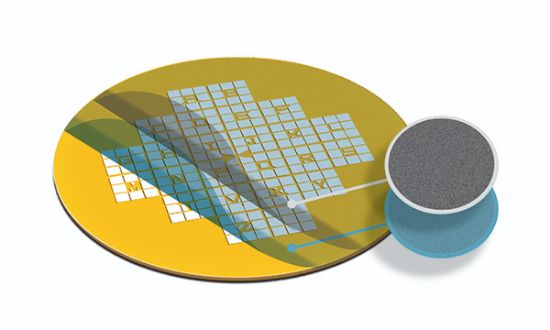 Picture of Formvar/Carbon Gilder Finder Grids, Au, F2, SC