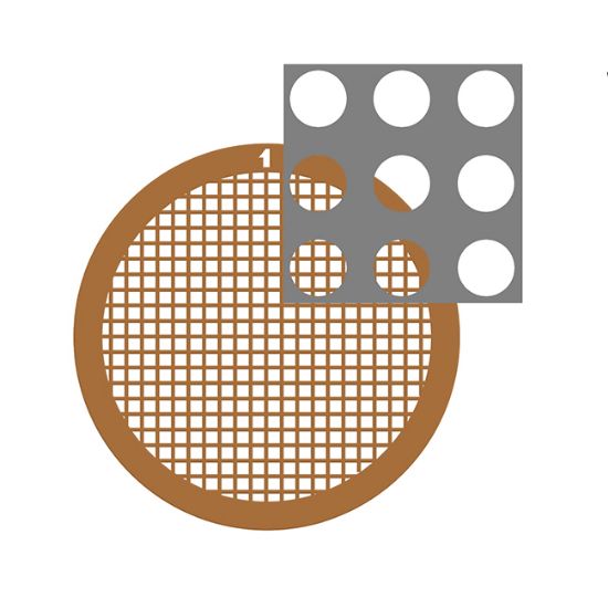 Picture of C-Flat™ Holey Carbon Grid 2.0 µm Hole 1.0 µm Space 200 Mesh