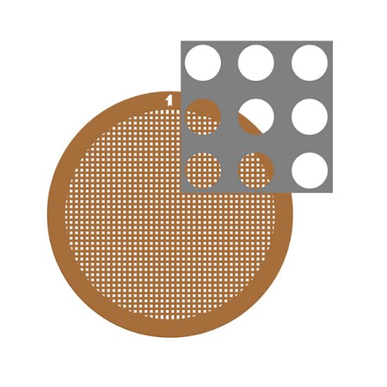 Picture of C-Flat™ Holey Carbon Grid 2.0 µm Hole 1.0 µm Space 400 Mesh