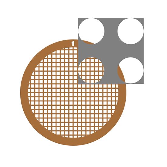 Picture of C-Flat™ Holey Carbon Grid 4.0 µm Hole 2.0 µm Space 200 Mesh