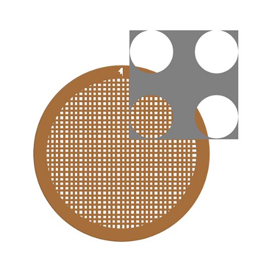 Picture of C-Flat™ Holey Carbon Grid 4.0 µm Hole 2.0 µm Space 300 Mesh