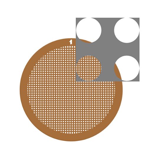 Picture of C-Flat™ Holey Carbon Grid 4.0 µm Hole 2.0 µm Space 400 Mesh