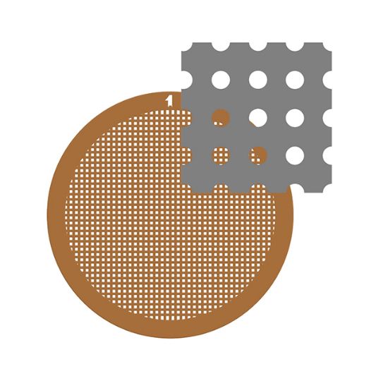 Picture of C-Flat™ Holey Thick Carbon Grid 1.2 µm Hole 1.3 µm Space 400 Mesh