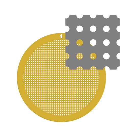 Picture of C-Flat™ Holey Carbon Grid 1.2 µm Hole 1.3 µm Space 400 Mesh Au