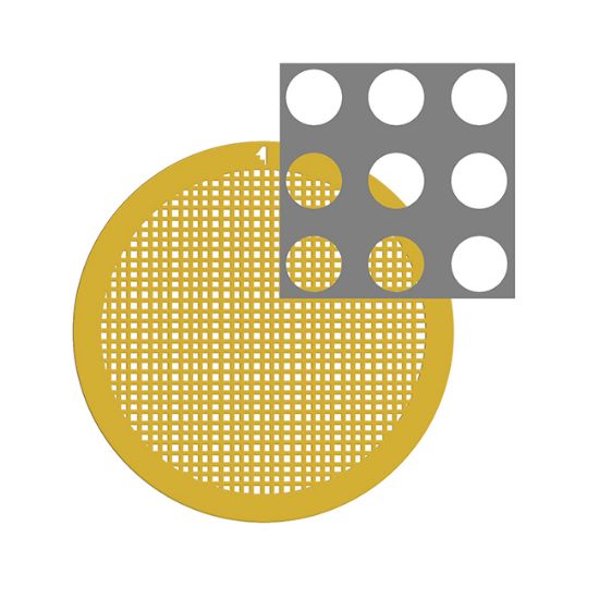 Picture of C-Flat™ Holey Carbon Grid 2 µm Hole 1 µm Space 300 Mesh Au