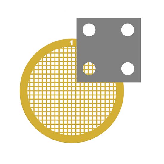 Picture of C-Flat™ Holey Carbon Grid 2 µm Hole 4 µm Space 200 Mesh Au