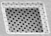 Picture of Quantifoil® R 3/3, 300 Mesh, Cu