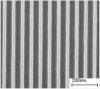 Picture of Very High Resolution Calibration Reference and Traceable Standard for AFM, SEM, Auger, and FIB