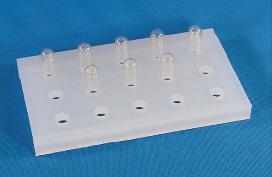 Picture of Gelatin Capsule Holder