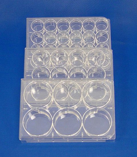 Picture of Costar® Brand Cell Culture Clusters 6 Well