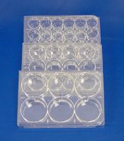 Picture of Costar® Brand Cell Culture Clusters 12 Well