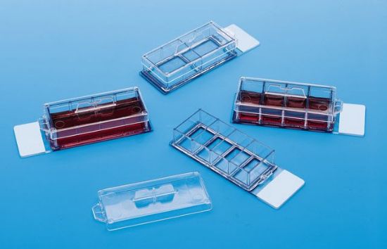 Picture of Lab-Tek® II CC2™ Slide 8 Chamber