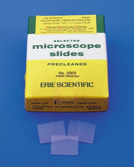 Picture of Microscope Slide, Frosted End