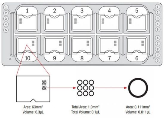 Picture of Quick-Read™ Microscope Slide with Grid