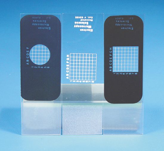 Picture of Grid Slides, Poly-L-Lysine