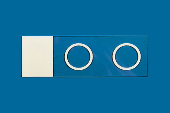 Picture of PTFE Printed Slide, 2 Well, 13mm