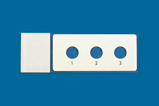 Picture of PTFE Printed Slide, 3 Well, 8mm