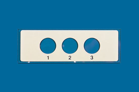 Picture of PTFE Printed Slide, 3 Well, 12mm