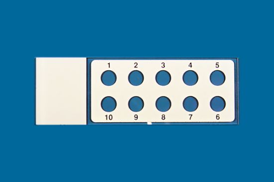 Picture of PTFE Printed Slide 10 Well, 6mm