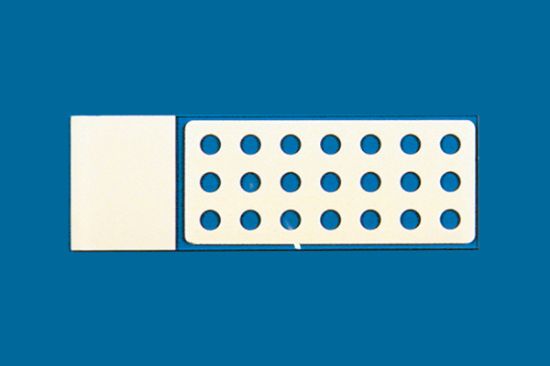 Picture of PTFE Printed Slide 21Well, 4mm