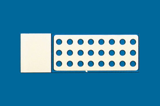 Picture of PTFE Printed Slide 24 Well, 4mm