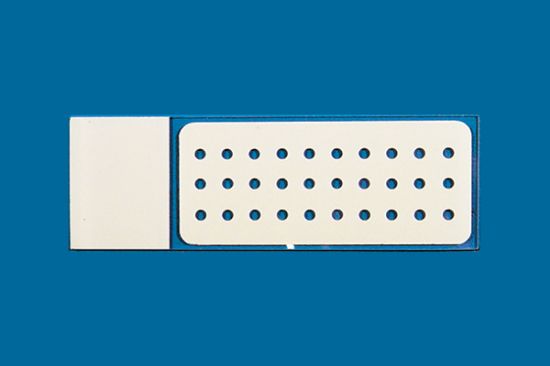 Picture of PTFE Printed Slide 30 Well, 2mm