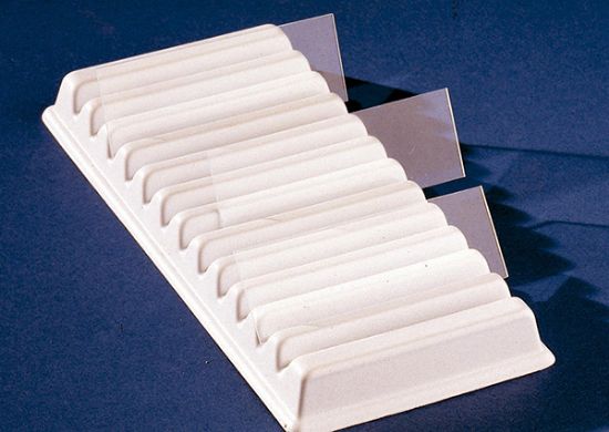 Picture of 12-Slide Holder