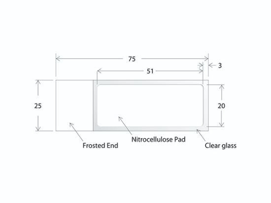 Picture of ONCYTE® AVID™ - 1 Pad 20 X 51 mm NC