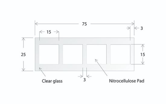 Picture of ONCYTE® Nova™ - 4 Pads 15 X 15 mm NC