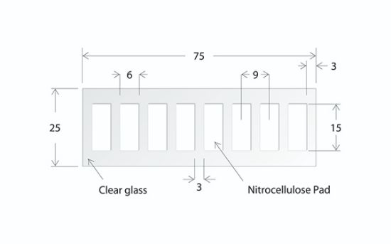 Picture of ONCYTE® AVID™ - 8 Pads 6 X 15 mm NC