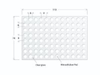 Picture of ONCYTE® Film Slides