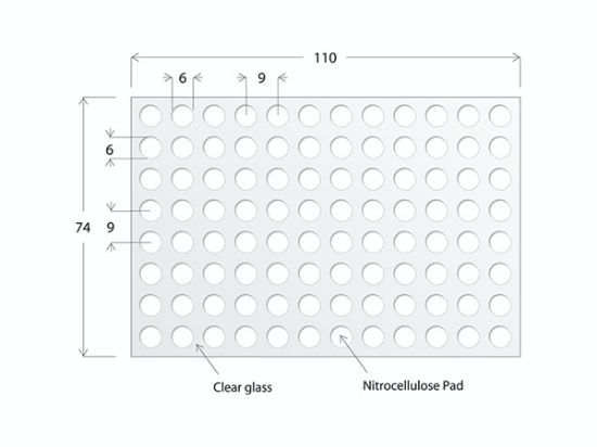 Picture of ONCYTE® AVID™ 96 Nc Round Pads 6 mm Diameter For Plate