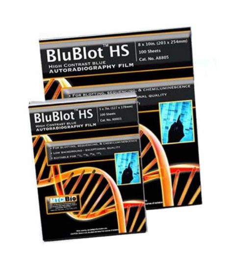 Picture of BluBlot HS Western Blotting Film, 8x10"