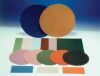 Picture of Aluminum Oxide Abrasive Film Discs