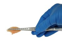 Picture of EMS Imprinted Forceps, 6" (152.4mm)