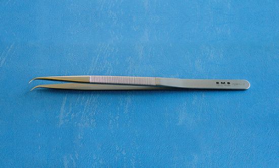 Picture of Curved Forceps with Fine Tips