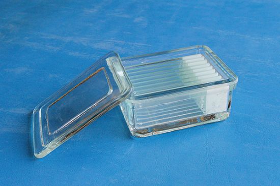 Picture of Rectangular Stain Dish