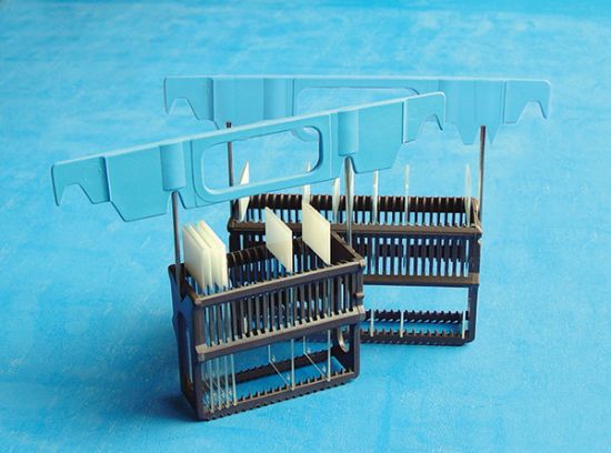 Picture of 30 Slide Rack Carrier, Blue