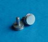 Picture of Standard SEM Pin Stub Small Slotted 9.5 mm Head