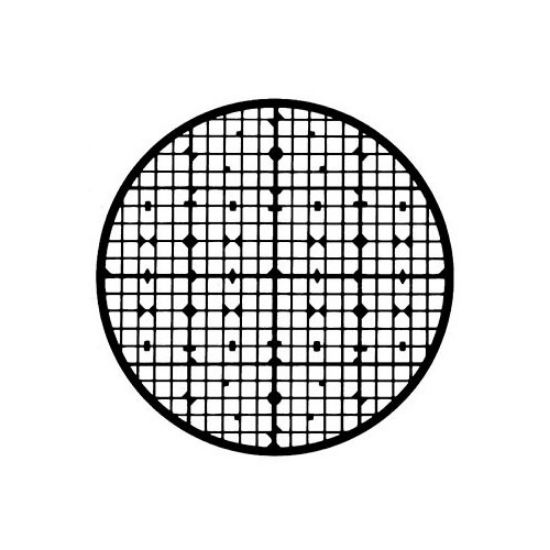 Picture of Special Grids for SEM