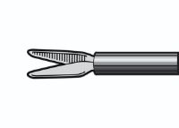 Picture of Micro Dissecting Forceps, Serrated Jaws, Straight