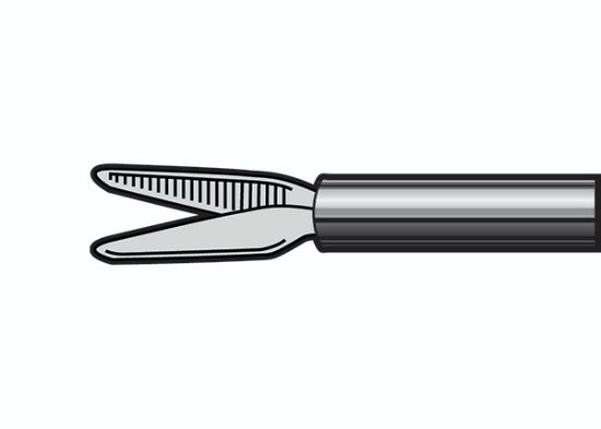 Picture of Micro Dissecting Forceps, Serrated Jaws, Straight