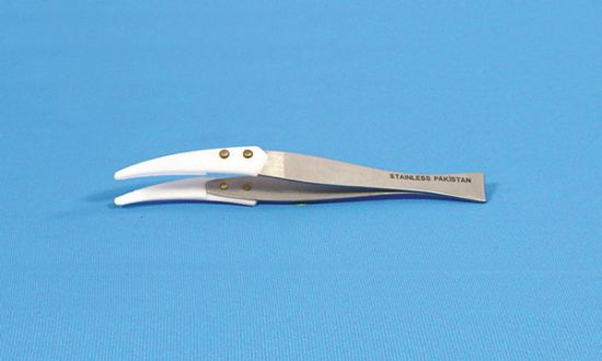 Picture of SS Forceps w/PTFE Tips