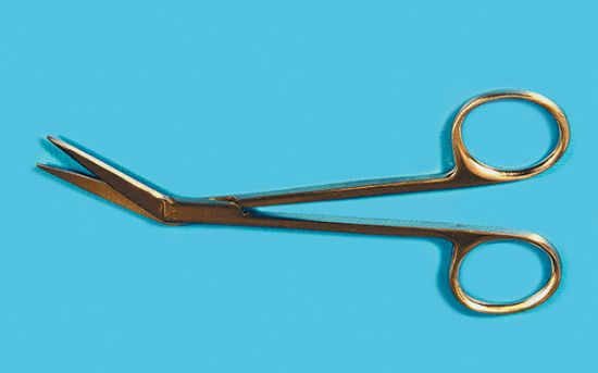 Picture of Dissecting Scissors; Iris Scissors