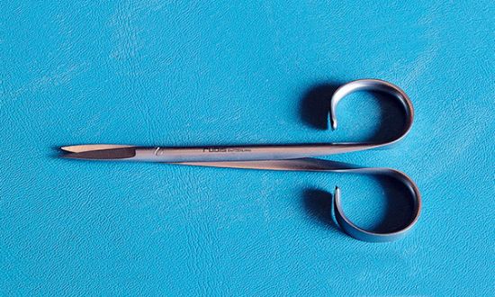 Picture of Rubis Micro Scissors, 1C300